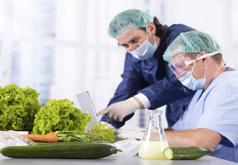 SO 22000 GIDA GÜVENLİĞİ YÖNETİM SİSTEMİ